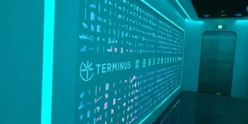 走進特斯聯，領略萬物互聯新時代